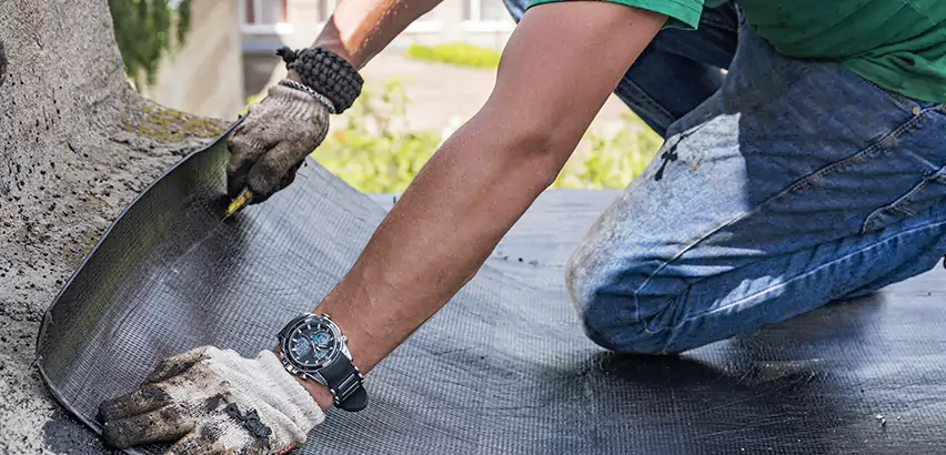 Professional Roof Water Damage Repair Services in Lakewood, WA