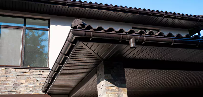 Soffit Damage Repair in Lakewood