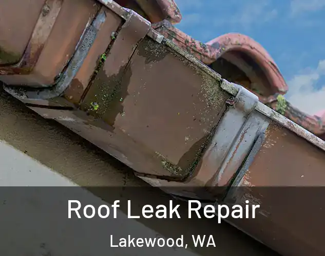  Roof Leak Repair Lakewood, WA